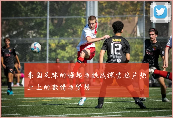 泰国足球的崛起与挑战探索这片热土上的激情与梦想