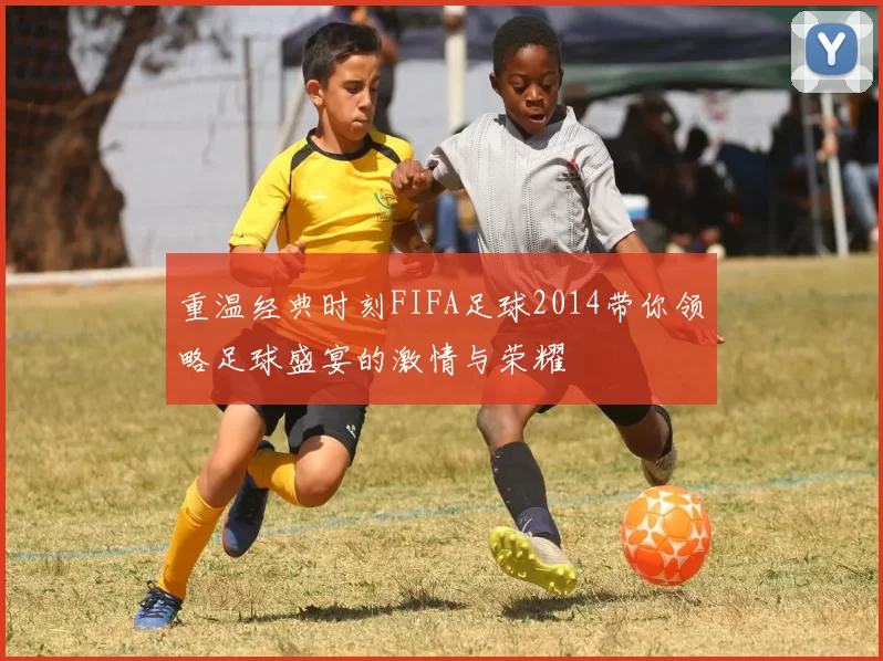 重温经典时刻FIFA足球2014带你领略足球盛宴的激情与荣耀
